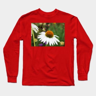 Echinacea Purpurea with Bee Long Sleeve T-Shirt